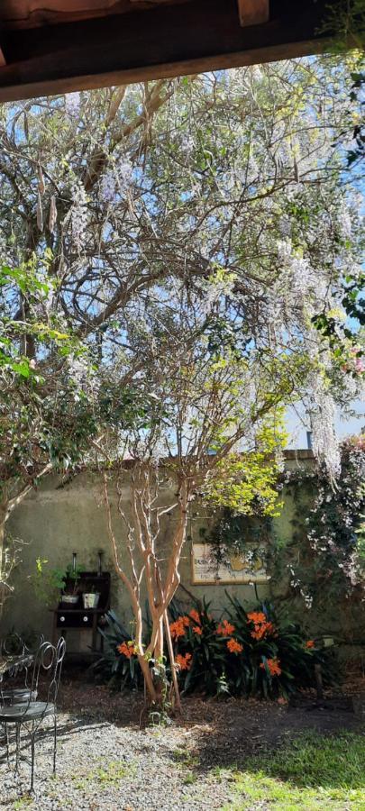 Casa En Barrio Historico Villa Colonia del Sacramento Exteriör bild